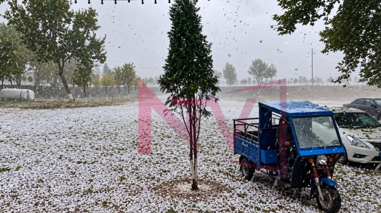 Sədərək rayonuna güclü dolu yağıb
