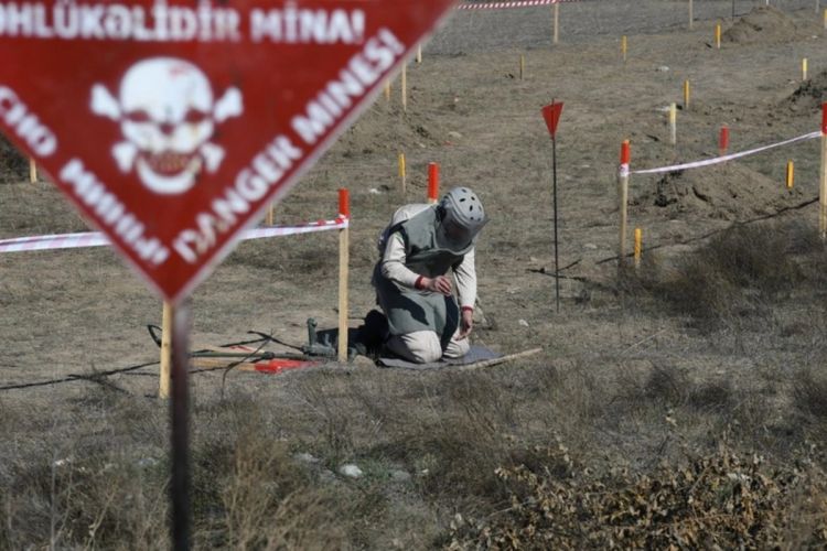 Ötən həftə 997 hektar ərazi minalardan təmizlənib