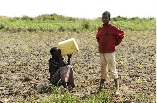 Afrikada 700 milyondan çox insanın təmiz suya çıxışı yoxdur