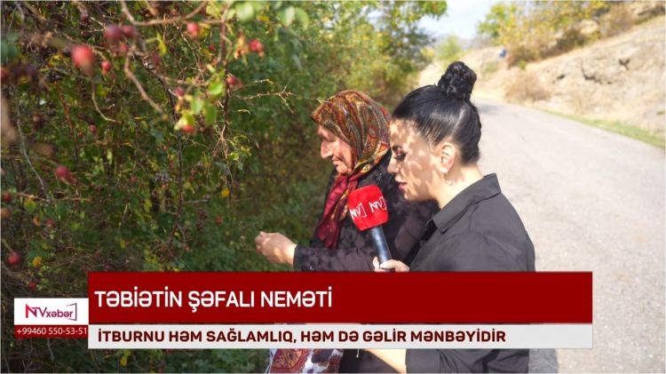 Təbiətin şəfalı neməti<font color=red> - VİDEO</font>