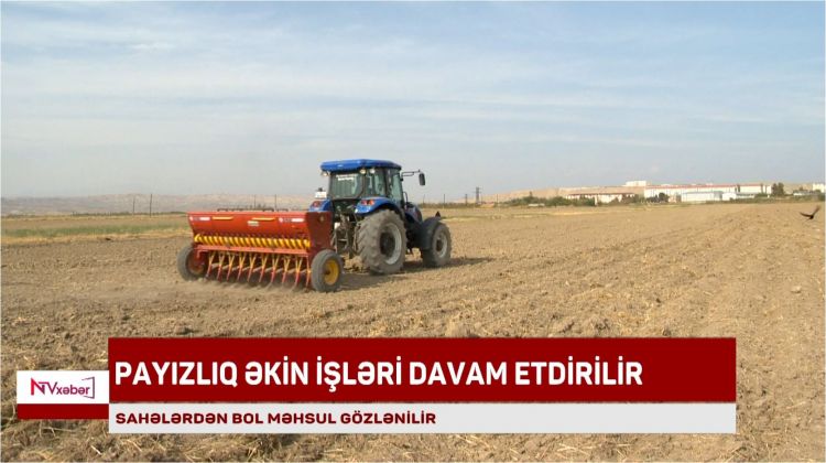 Babək rayonunda payızlıq əkin işləri davam etdirilir<font color=red> - VİDEO</font>